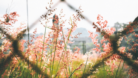 20201201 -- Sitelinks in True View For Action Campaigns -- Jeremy