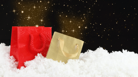 20211019 -- Prepping for the 2021 Holiday Shopping Season on Amazon --Shannon