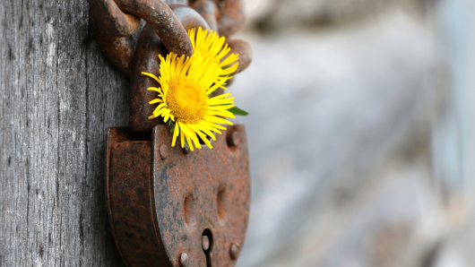 20220322 -- Amazon Brand Protection - You’ve Got Your Keywords Covered…What About Your ASINs -- Reilly