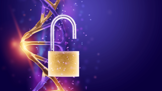 20231212 -- Decoding Engagement Metrics for SEO Content -- Krista